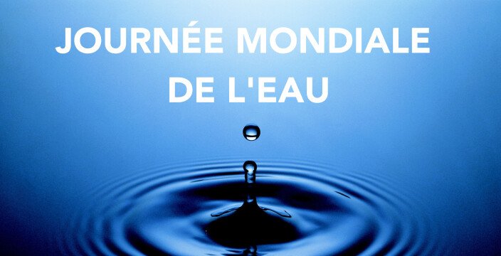 Journée mondiale de l'eau