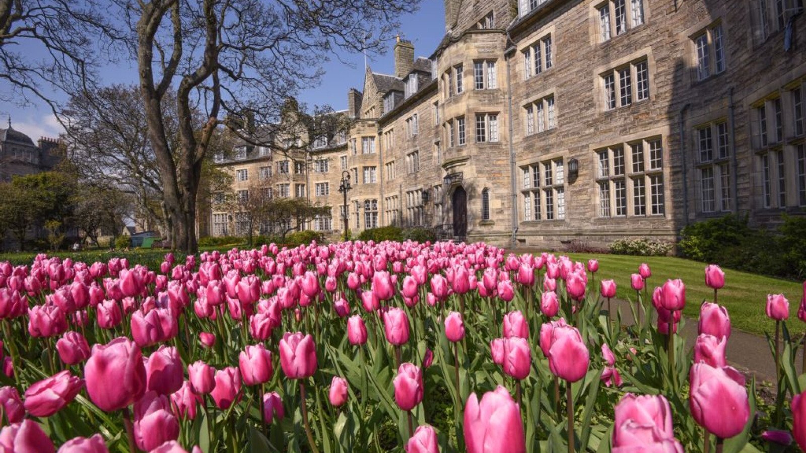 Worldrenowned University of St Andrews chooses Bruynzeel for its