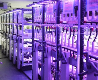 Vertical farming