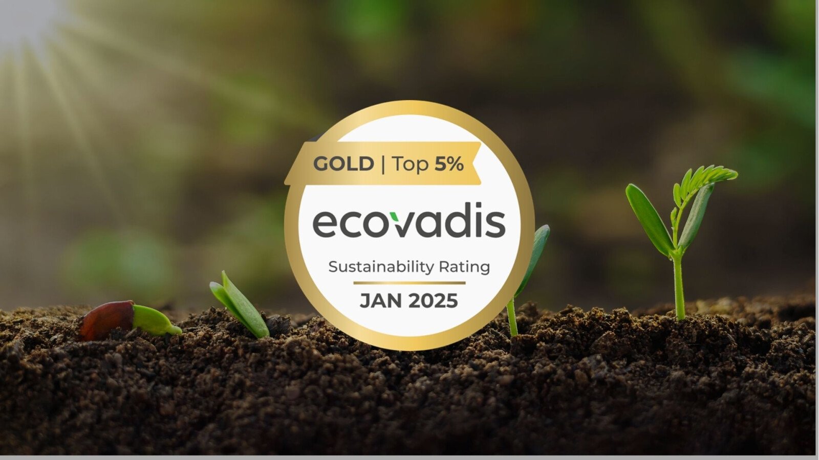 Ecovadis Gold