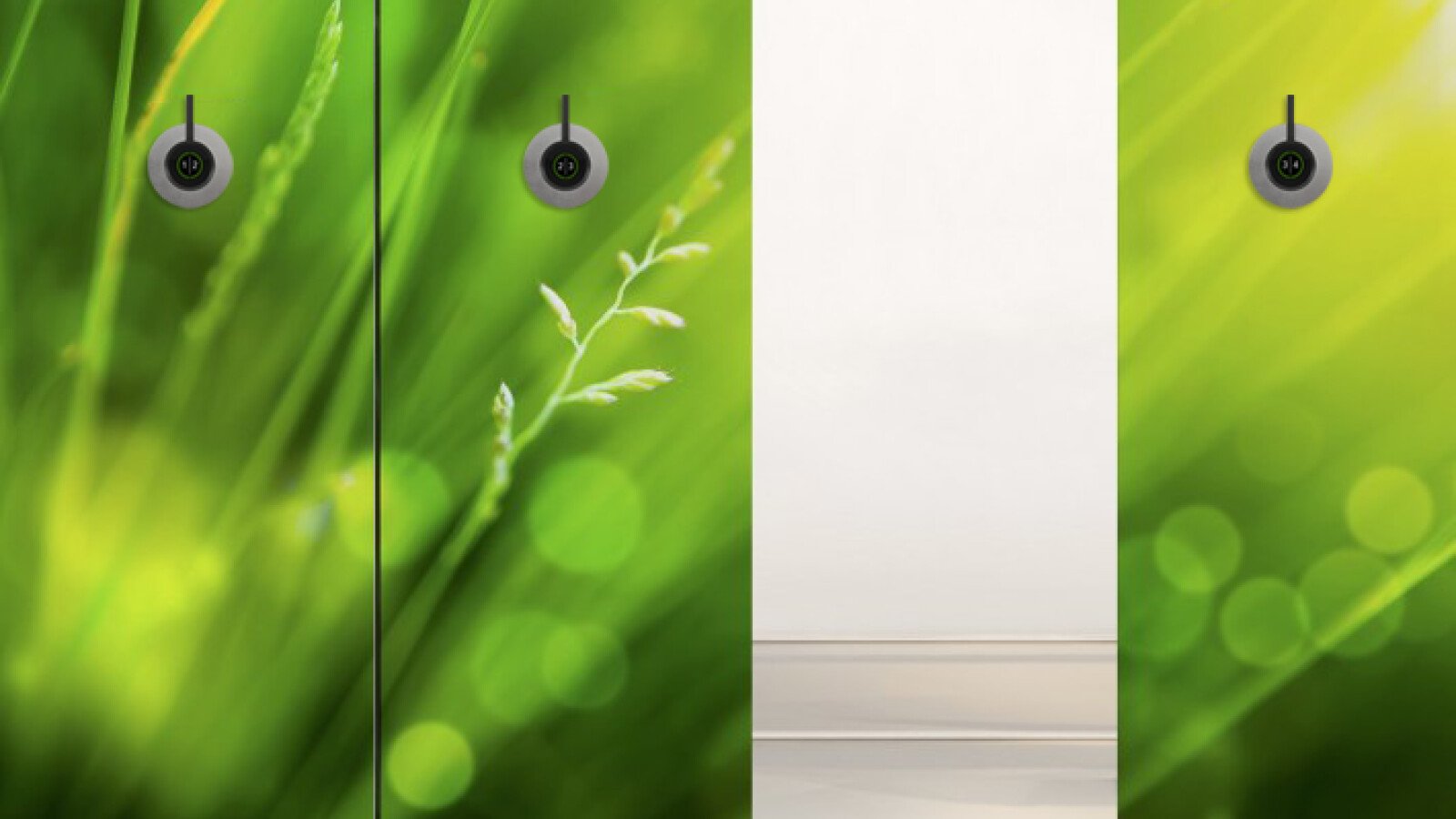 XT_Front_Dynamic2_903-print.png