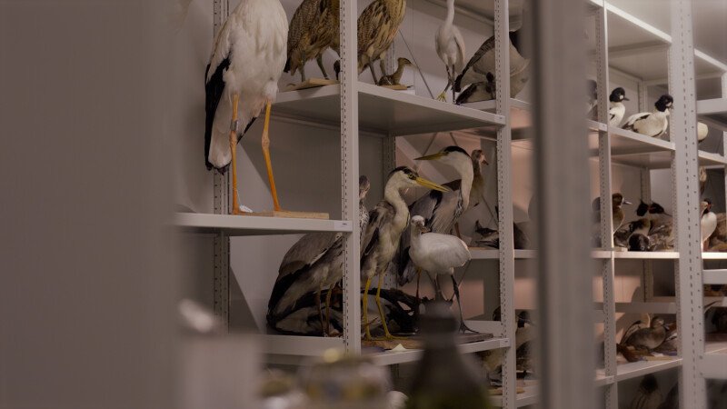 Boxed and standalone objects