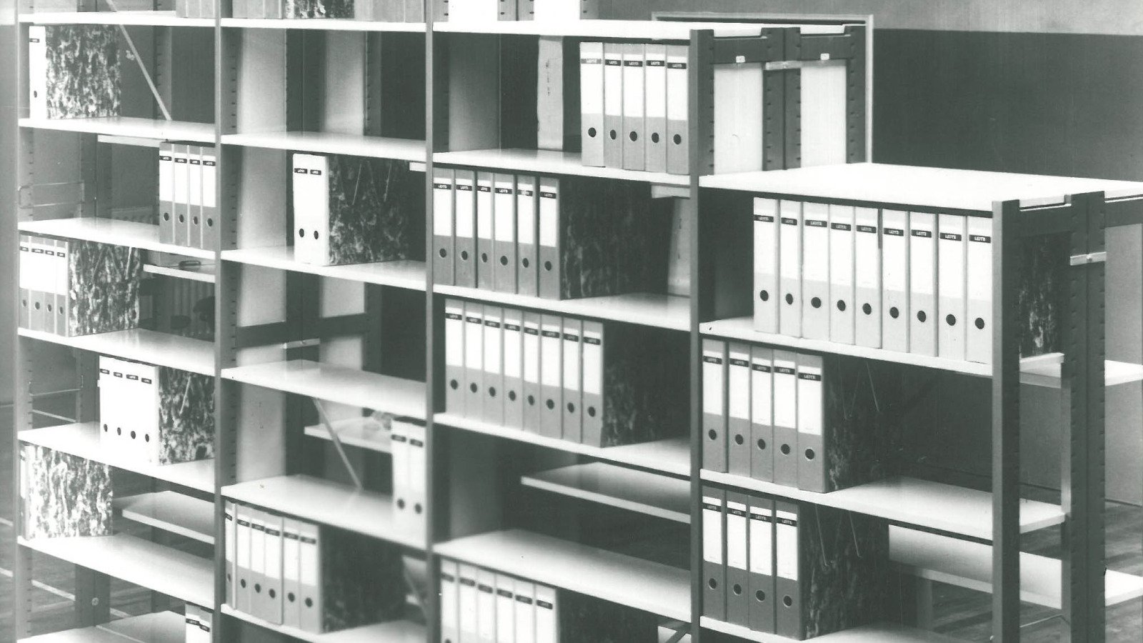 Shelving Bruynzeel Delta